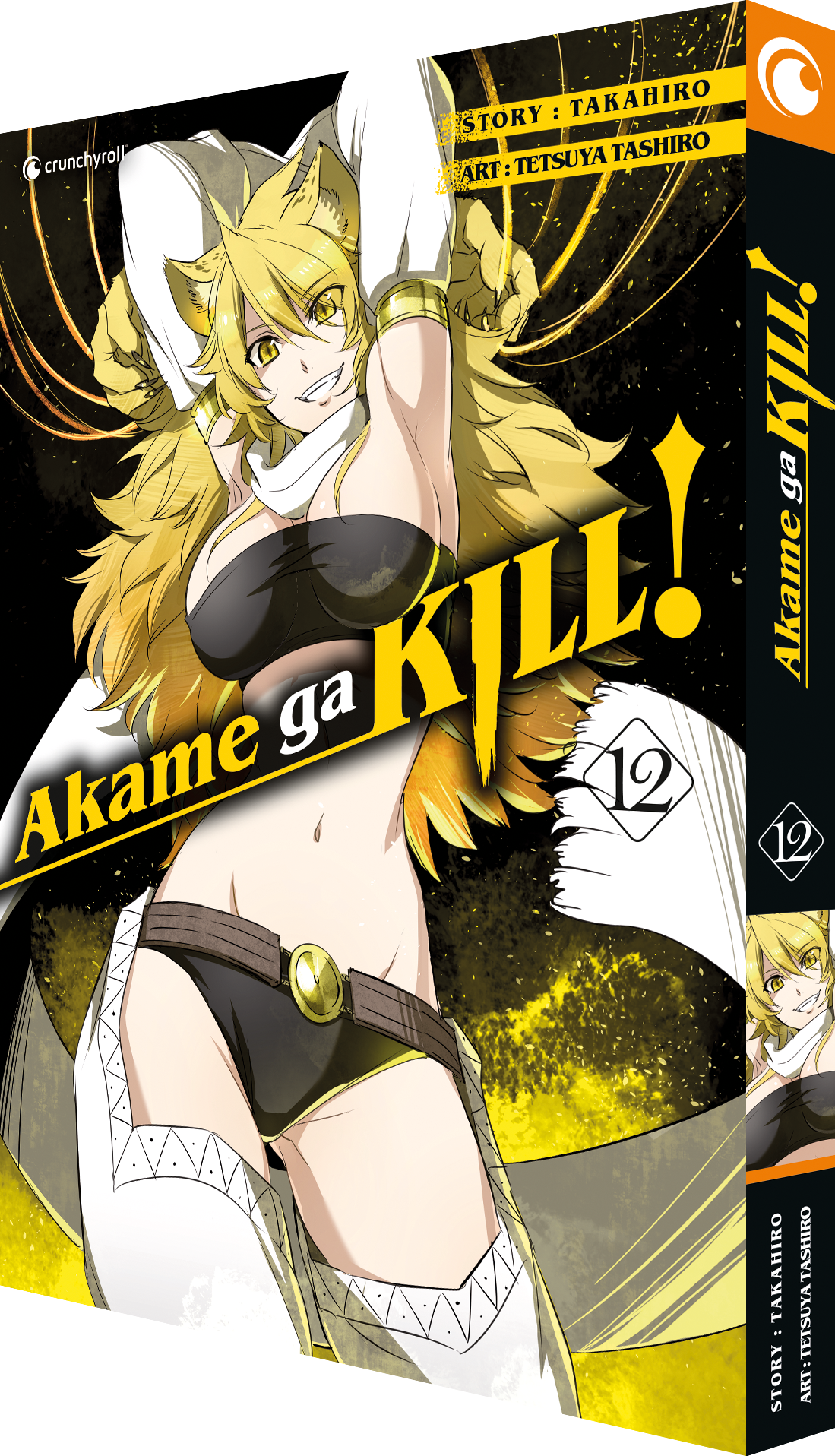 Akame ga KILL! 12