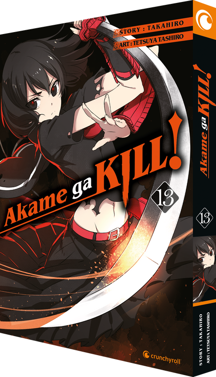Akame ga KILL! 13