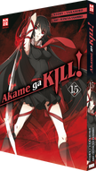 Akame ga KILL! 15 (Finale)