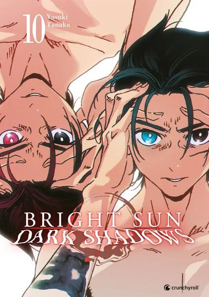 Bright Sun - Dark Shadows 10