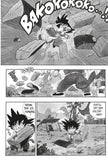 Dragon Ball Massiv 1