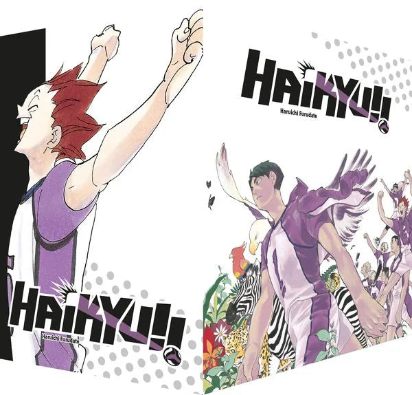 Haikyu!! 31-40 im Sammelschuber