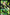 Seraph of the End 05