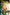 The Legend of Zelda – Twilight Princess 05